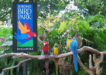 Singapore Jurong Bird Park entrance ticket including tram ride